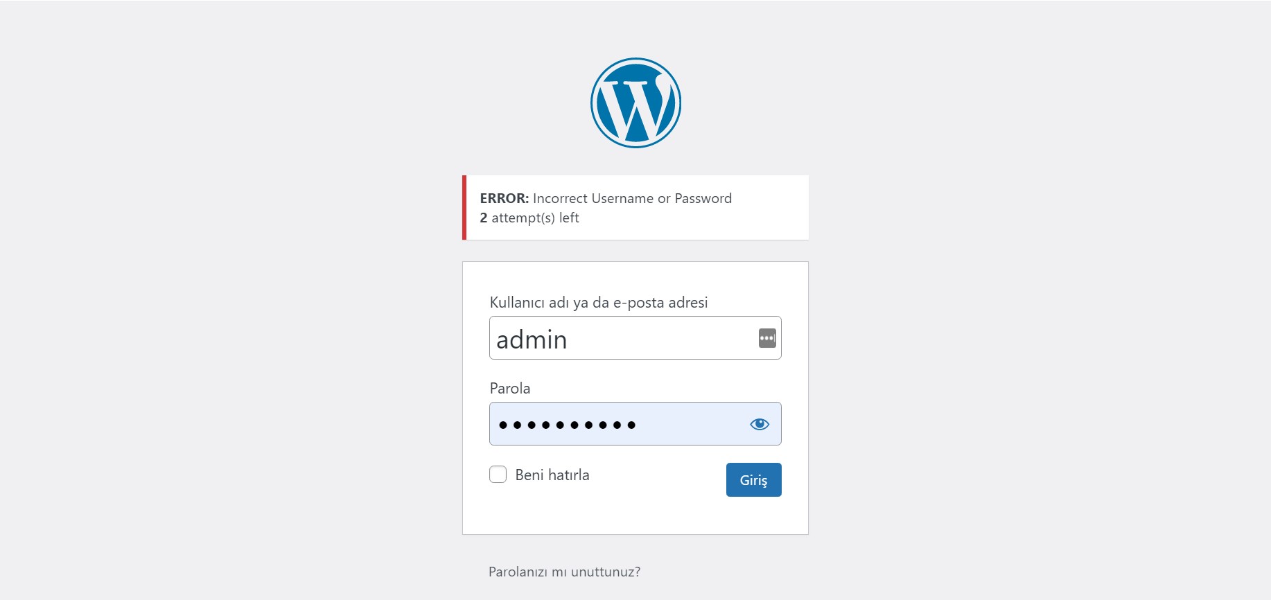 Wordpress Admin Girişi Nasıl Yapılır?