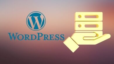 Wordpress Hosting Nedir, Hangi Hosting Tercih Edilmeli?
