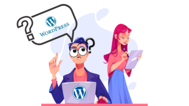 WordPress Nedir? Neler Yapabiliriz?