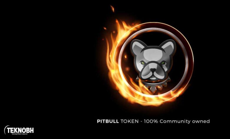 Pitbull Coin Nedir? Pitbull Coin Geleceği ✔️ 2022