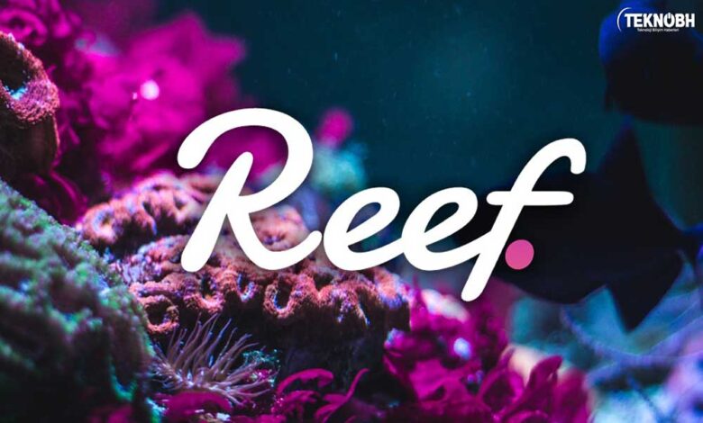 Reef Coin Nedir? Reef Coin Geleceği ✔ 2022