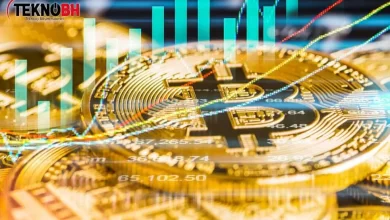 Bitcoin'in Değeri Neye Göre Belirlenir? ✔️ 2022