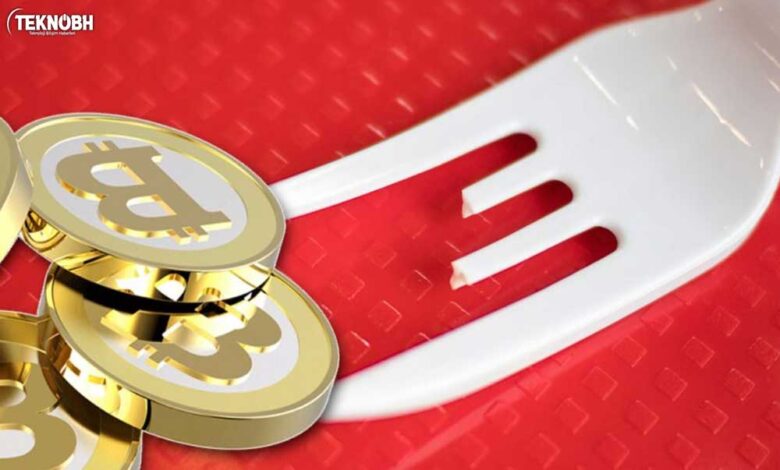 Hard Fork ve Soft Fork Nedir? Ne Anlama Geliyor? ✔ 2022