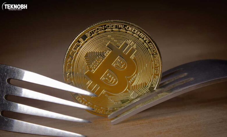 Hard Fork ve Soft Fork Nedir? Ne Anlama Geliyor? ✔ 2022