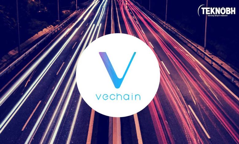 Vet Coin Nedir? Vet Coin Geleceği ✔ 2022