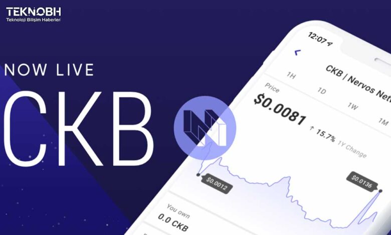 CKB Coin Nedir? CKB Coin Geleceği ✔ 2022