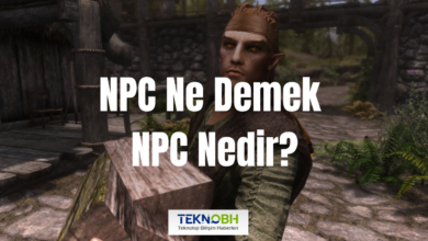 NPC Ne Demek, NPC Nedir?